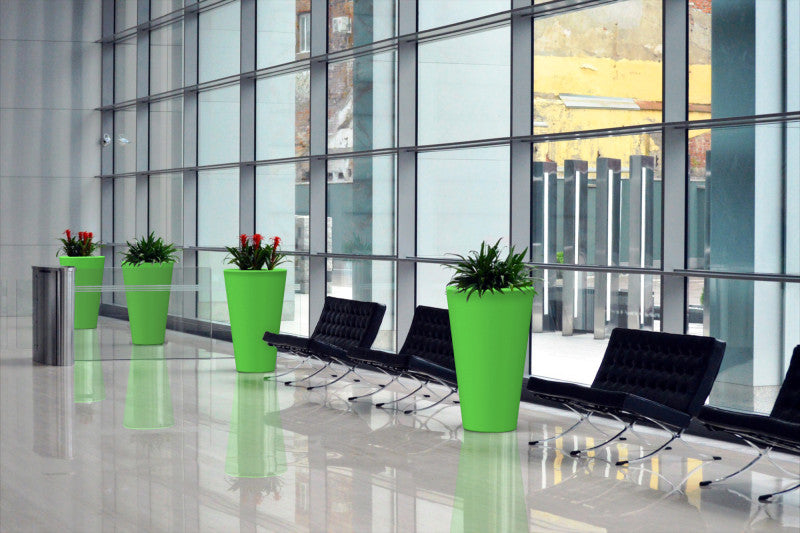 Folia Planter