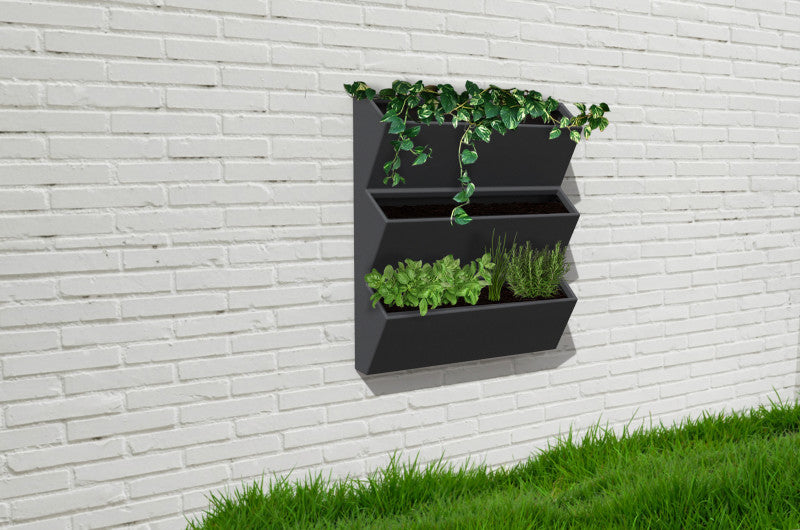 Trio Wall Planter