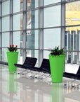 Folia Planter