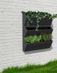 Trio Wall Planter