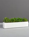 Salon Planter