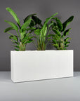 Potsdam Planter