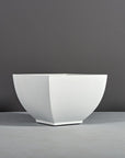 Kathryn Planter