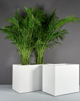 Brisbane Planter